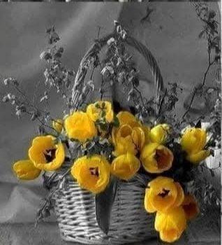 Bonne semaine..