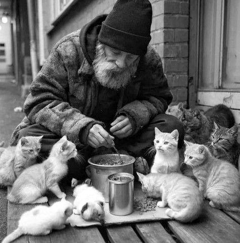 Quand y'en a pour un, y'en a pour tout le monde.