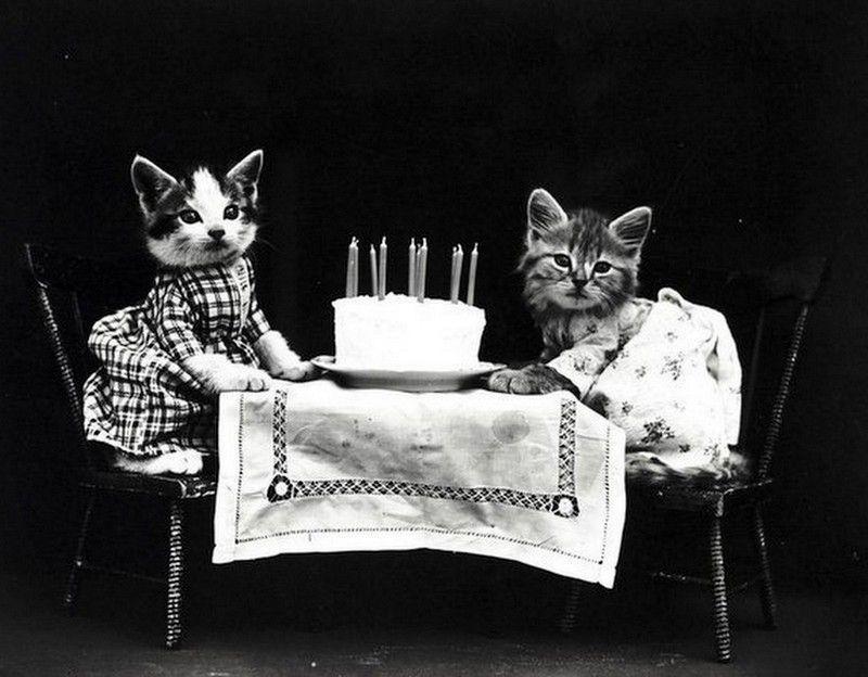 Joyeux chaniversaire !